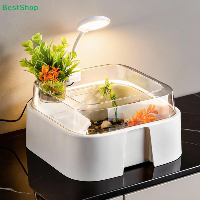 Transparent Turtle Tank Home Desktop Decoration Turtle Box With Sun Platform Simple Reptile Habitat