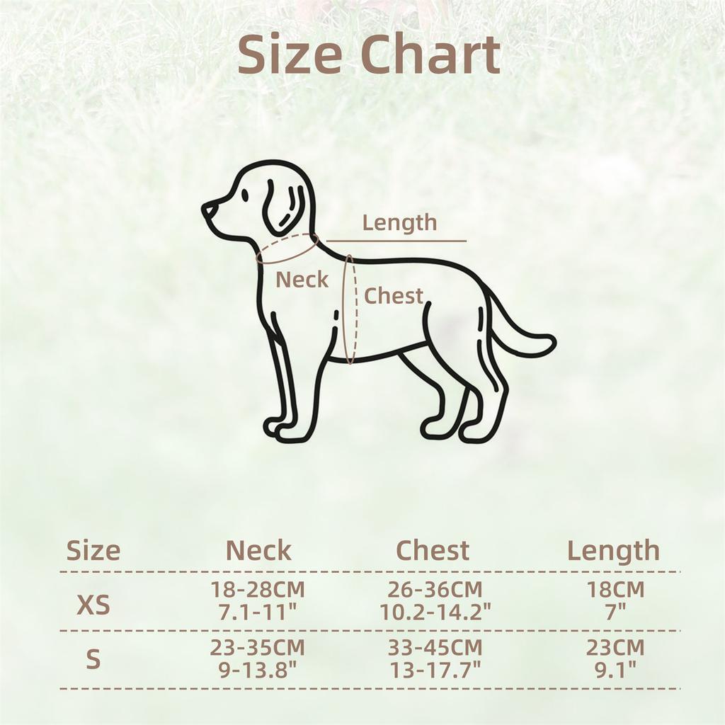 High Strength Tear Resistant Protective Vest For Small Dogs Lightweight Breathable Mesh Design Outdoor Safety Gear