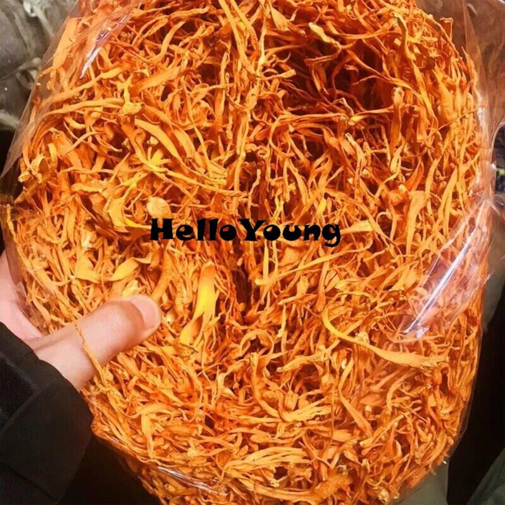 Organic Cordyceps Militaris 500g Herbal Tea Natural Energy Supplement