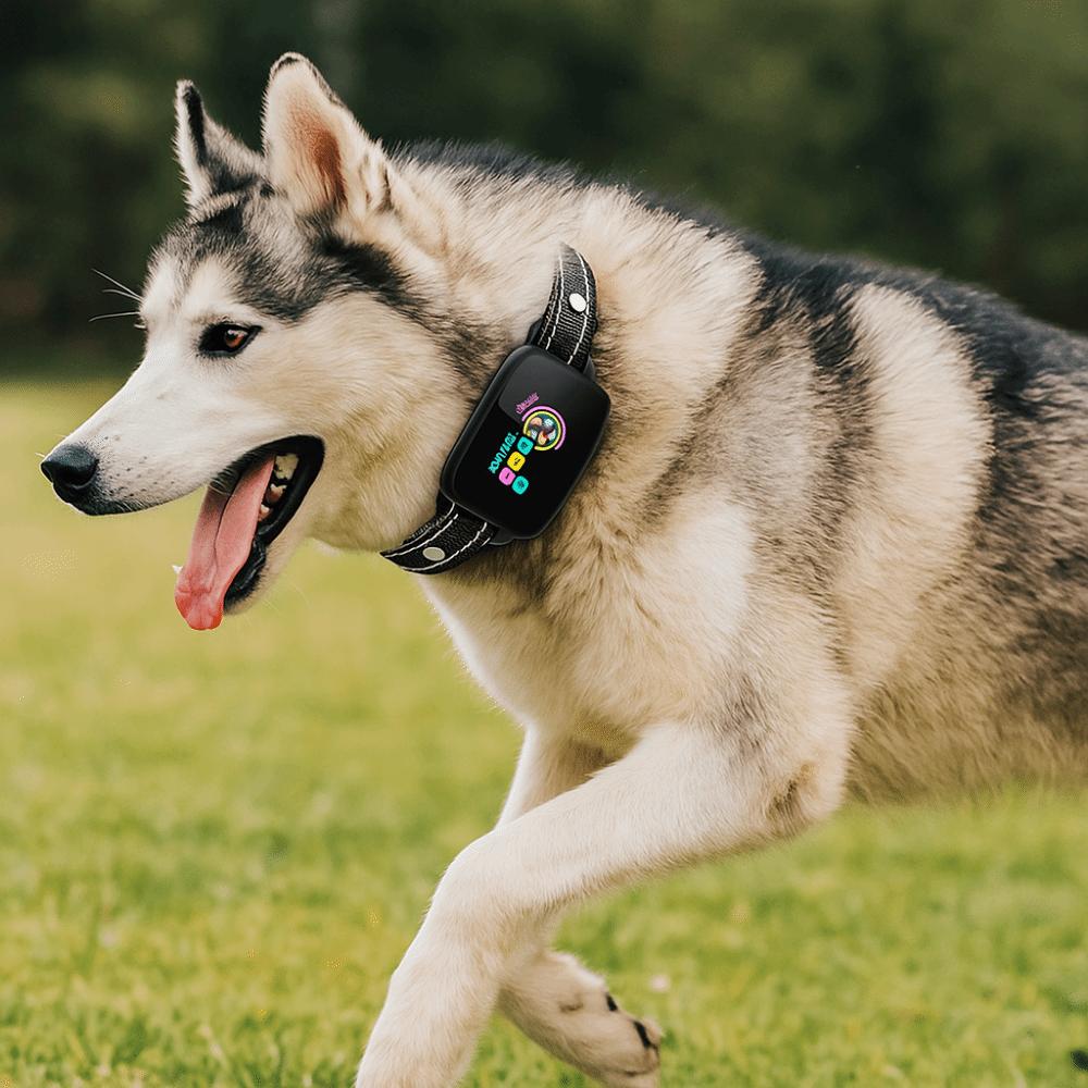Type-C Rechargeable Dog Barking Collar Color Screen Vibration Stop Bark Collar  Bark Control