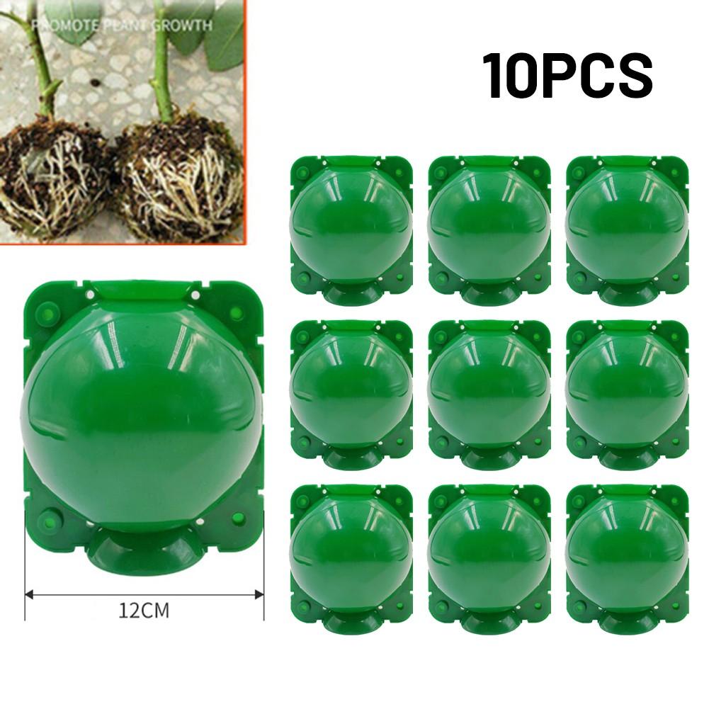 10pcs Grafted Rooting Ball Rooter Tree High Altitude Pressure Branch Plant Propagation Ball Plant Hydroponics Propagation Box