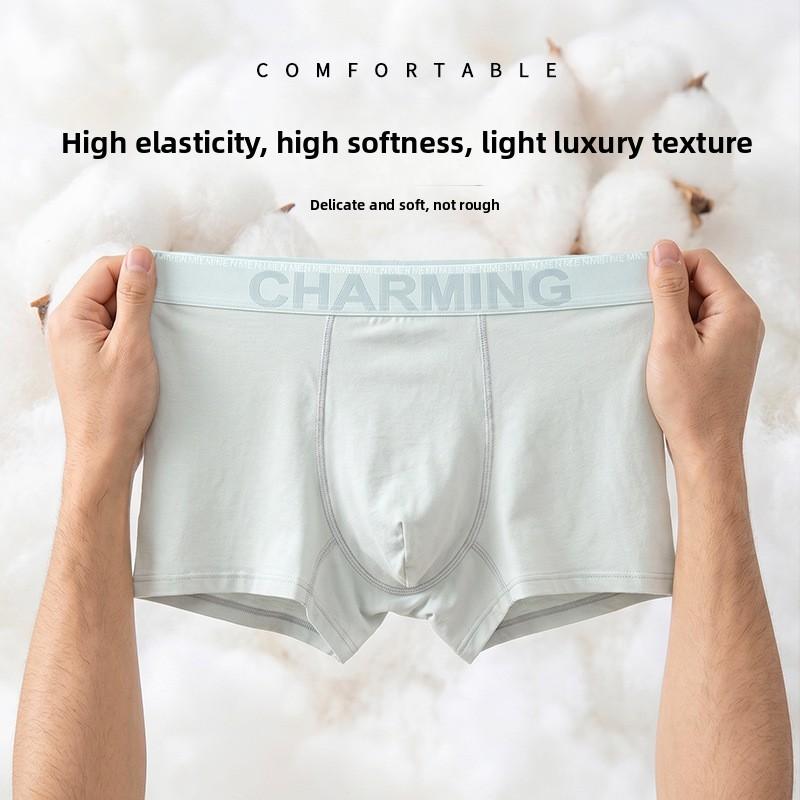Men's Spring Summer 10A Antibacterial Cotton Comfortable and Breathable Briefs