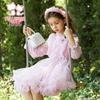 Sweet Girls' Long Sleeve Mesh Princess Dress