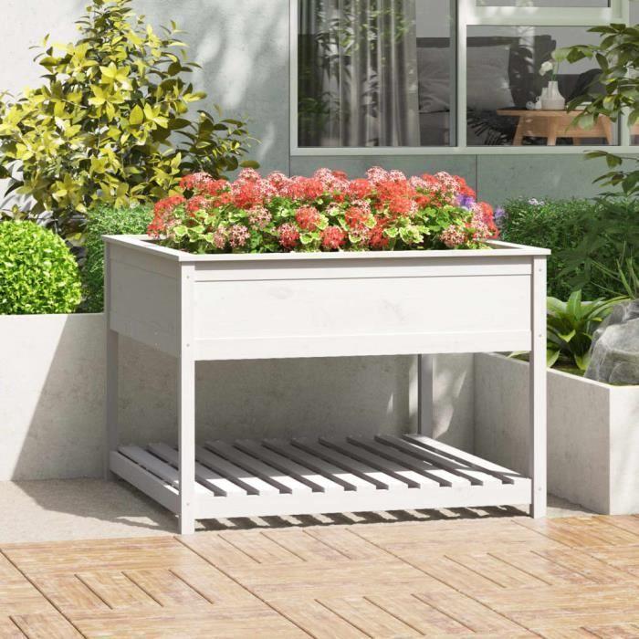 VidaXL Jardinière et étagère Blanc 111,5x111,5x81cm Bois massif de pin 823802