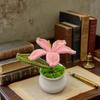 Handmade Crochet Lily Potted Plant, Knitted Pink Lily Flower in Mini Pot, Desk Decor, Unique Gift for Mom, Home Office Ornament