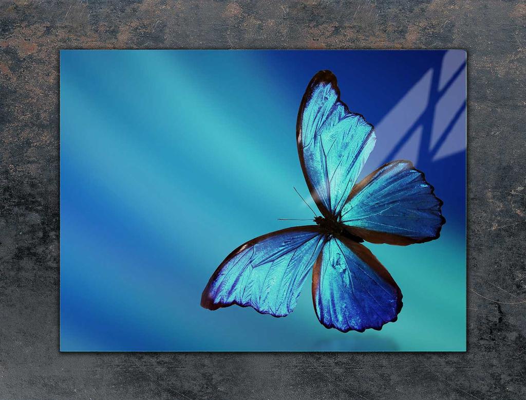 SZKLANA PŁYTA OCHRONNA NA KUCHENKĘ 70x52 MOTYL