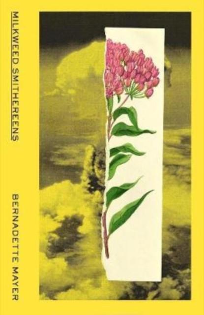 Milkweed Smithereens by Bernadette Mayer Paperback Book 9780811229227