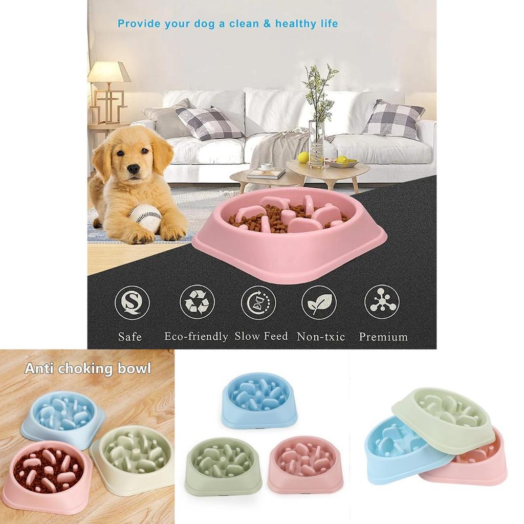 Slow Food Bowl For Pets Anti-slip And Easy To Clean