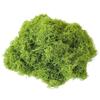 Woolen Landscape Wall with Simulated Moss and Rockery Stones for Gardens and Tanks