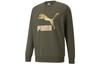 Sweatshirts Men's Army Green Crew Neck Moderate Regular 531367-44