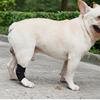Black Breathable Joint Recovery Bandage for Small,Middle,Large Dog Dog Leg Brace Pet Knee Pads Dog Support Brace Dog Leg Wrap