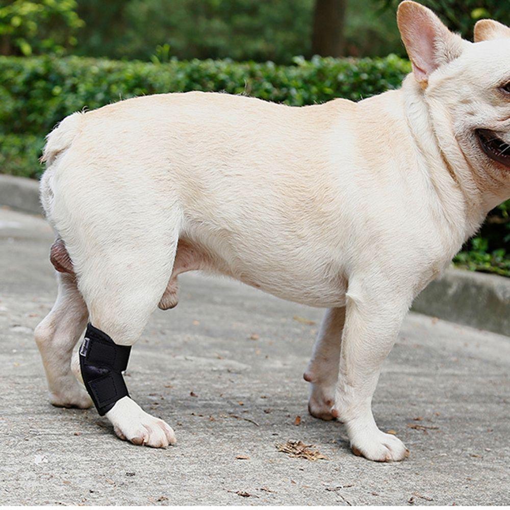 Black Breathable Joint Recovery Bandage for Small,Middle,Large Dog Dog Leg Brace Pet Knee Pads Dog Support Brace Dog Leg Wrap