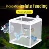 Bettafisch Isolations- und Zuchtbox: Schwimmendes Schutz-Aquarium für kleine Fische und Guppy-Jungfische