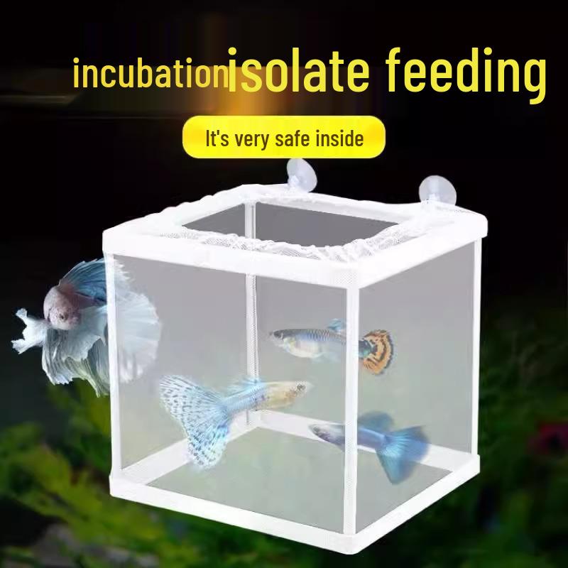 Bettafisch Isolations- und Zuchtbox: Schwimmendes Schutz-Aquarium für kleine Fische und Guppy-Jungfische