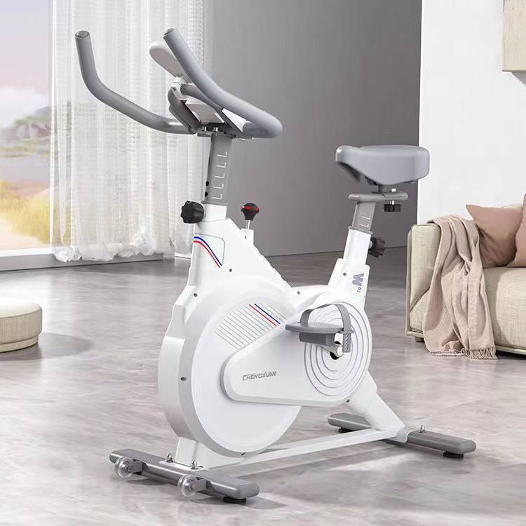 Yongkang Home Fitness Spinning Bike: Versatile Indoor Exercise and Sports Equipment