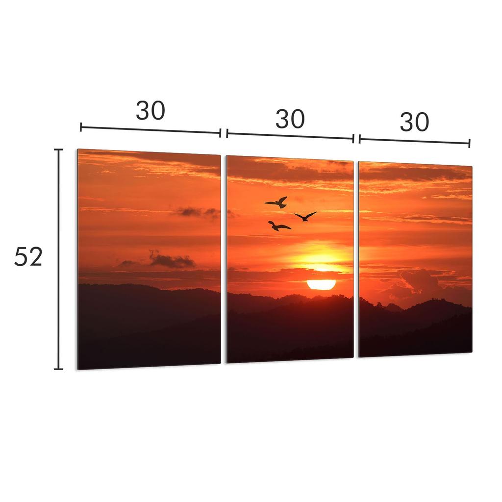 Glas-Kochfeld-Schutzplatte 3x30x52