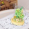MOC Flower Display Box Micro Building Block MOC Mini Flower Mini Diamond Model Brick Toy for Children Desk Decoration