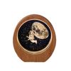 Planet Night Light 3D Inner Engraving Luminous Crystal Desktop Ornament Wooden Base