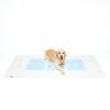 PetPro Happy Days Washable Deodorizing Waterproof Sheet LL