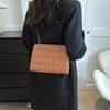 Fashionable 2023 Shoulder Bag For Women Simple Chic Small Square Crossbody Bag