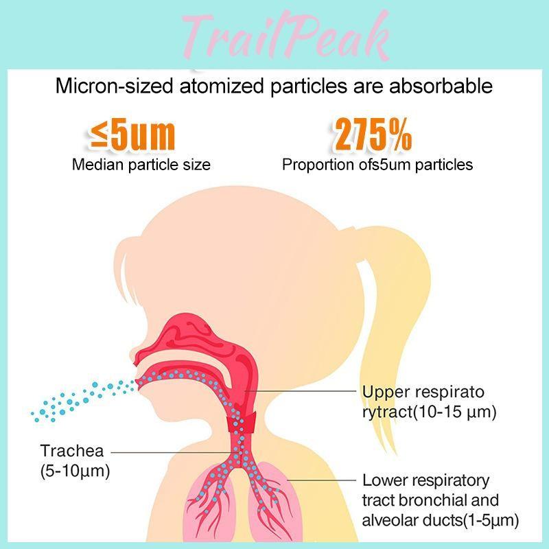 Silent Handheld Ultrasonic Face Nebulizer Portable Household Tools Inhaler