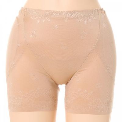 Hip Pad Panty  Wpt7065 