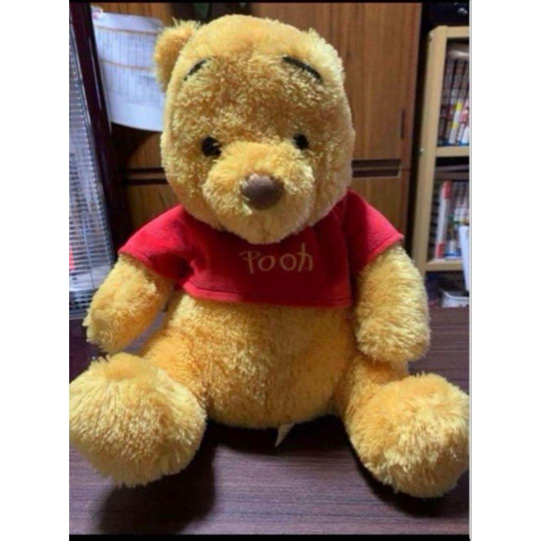 Disney Winnie the Pooh stuffed animal used item