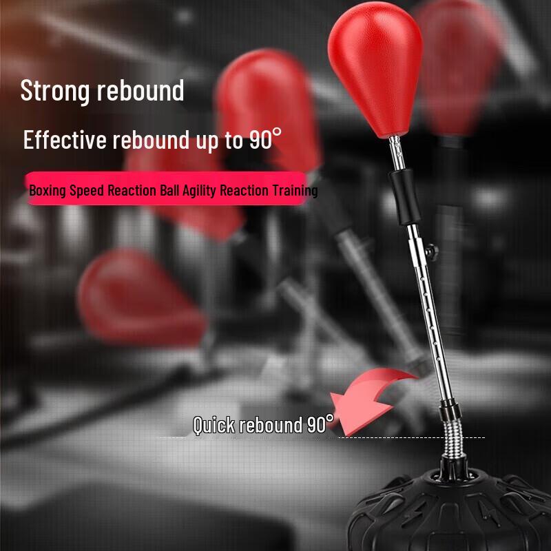 Boxing Speed Ball
