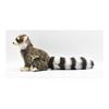 BH4248 HANSA Raccoon 25