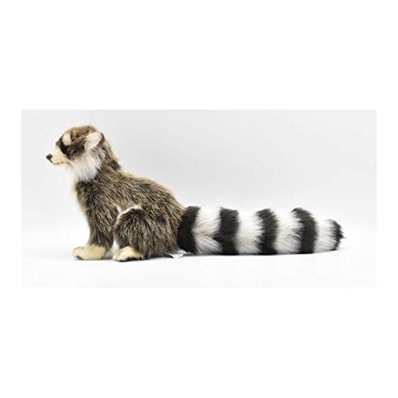 BH4248 HANSA Raccoon 25