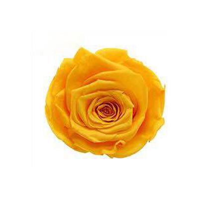 P-1 21 Preserved Roses in a Box Wedding Decor Floral Arrangements Wedding Dried Flower Home Decor Baby Shower Flowers 2~3cm