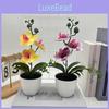 Butterfly Orchid Artificial Plant Home Decor Wedding Photography Prop With Plastic Material For Indoor Use