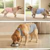 New Style Dog Sterilization Suit: Breathable, Anti-Licking, High-Elastic Recovery Suit with Simple Tie-Up Design