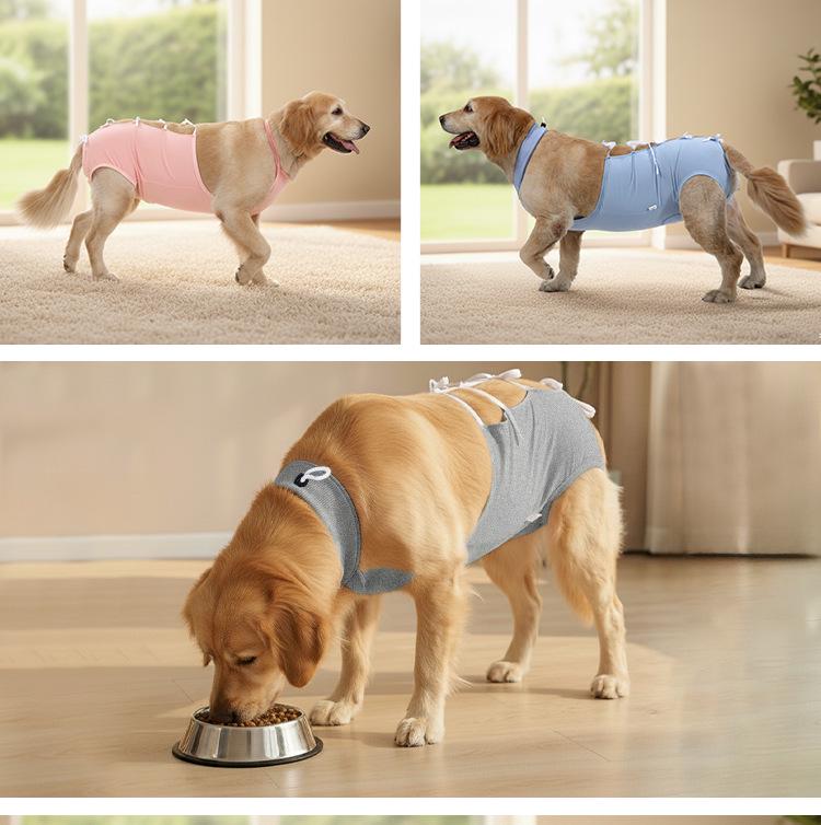 New Style Dog Sterilization Suit: Breathable, Anti-Licking, High-Elastic Recovery Suit with Simple Tie-Up Design