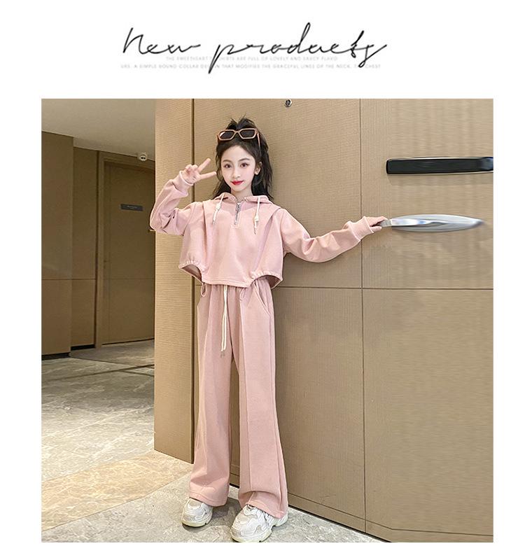 Mädchen Herbst Koreanischer Stil Kapuzenpullover & Weitbein-Hosen Set