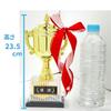 23.5cm Tall Resin Trophy with Victory Plate and 5 Pennants (CP-167A)