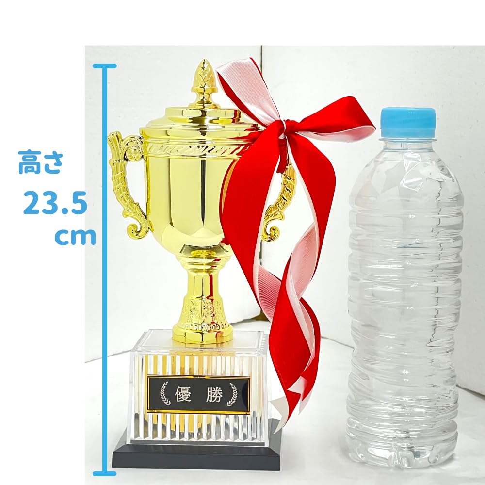 23.5cm Tall Resin Trophy with Victory Plate and 5 Pennants (CP-167A)
