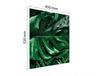 SZKLANA DESKA DO KROJENIA 45x52 MONSTERA