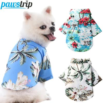 Abbigliamento e scarpe – Gilet e camicie per cani