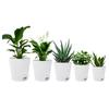 ABWR-5 Pack 5 Inch Self Watering Pots For Indoor Plants, Flower Pots Planter With Drainage Holes And Wick Rope White Easy Instal