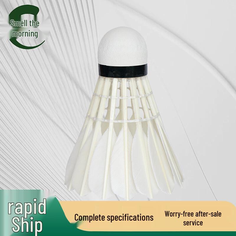 Wen Zao Durable Training Badminton Shuttlecocks (12-Pack)