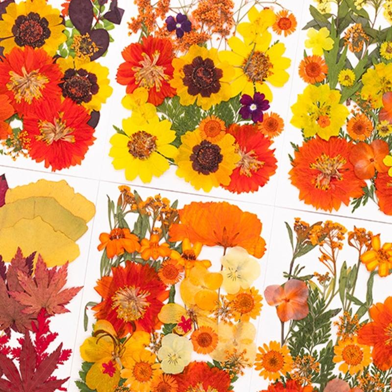 Natural Dried Flower For Epoxy Resin Molds Dry Flowers and Leaves Set for Art Craft Candle Jewelry Making Scrapbooking