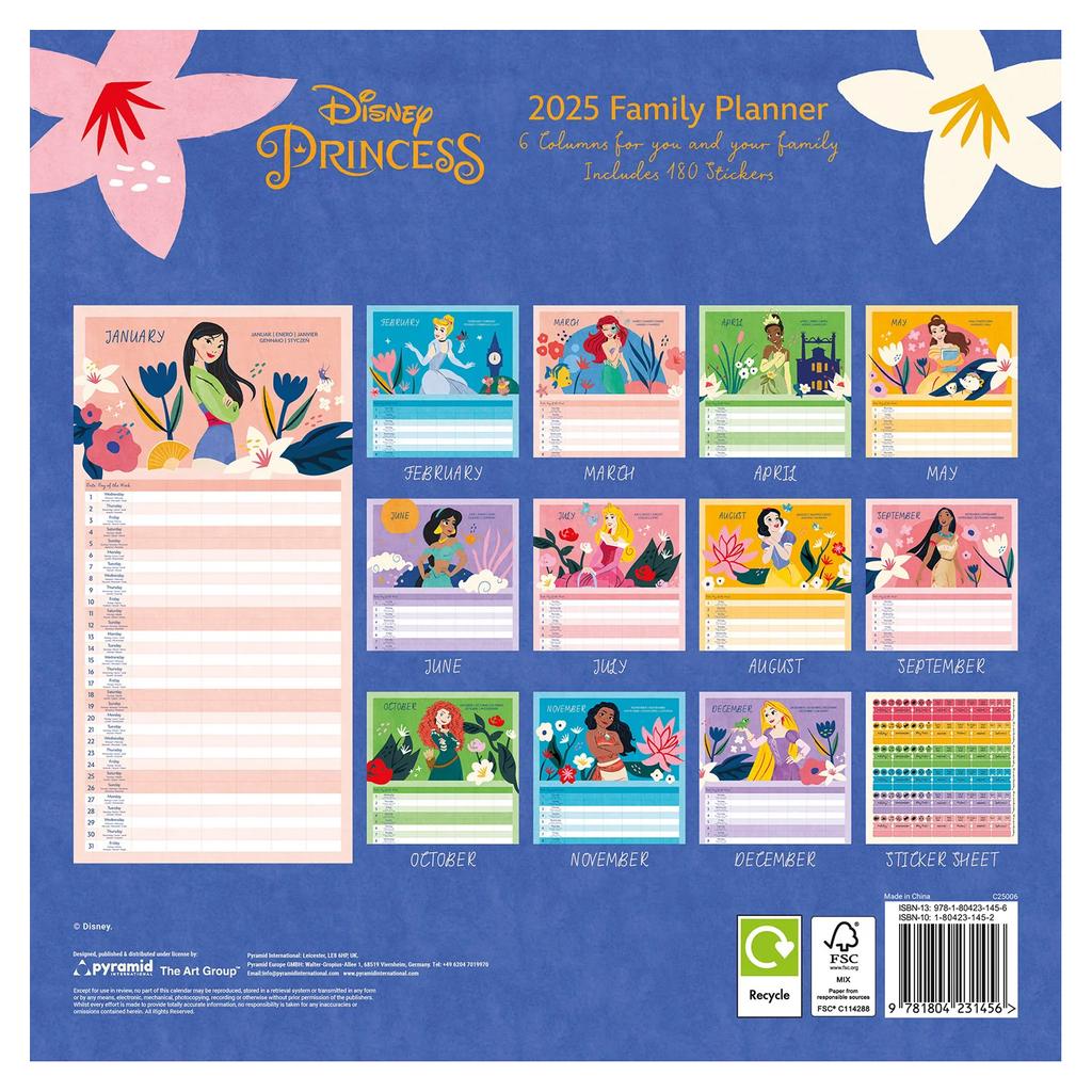 Disney Princess 2025 Square Family Planner