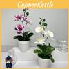 Orchid Realistic Butterfly  Green Plants Potted For Decorations Indoor
