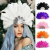Stage Performance Showgirl Headband Brazilian Carnival Hair Band  Hawaiian Party Accessory