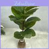 Planta Artificial Realista Folhagem Folha Ficus Elastica Decoração Casa Casamento Escritório