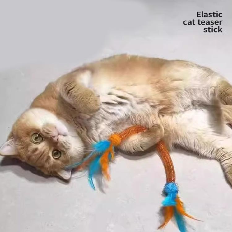 Stimolatori di Esercizio per Gatti Giocattolo per Arricchimento Animale Domestico Durabilità Fornitura per Animali Gatto Bastone per Migliorare l'Attività Fisica