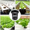 10pcs Hydroponic Baskets Plant Veg Grow Nursery Cup Pot Tray Aeroponic Planter Mini Wide Lip Design Black and White Garden Tools