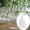 100 pezzi giardino fragola uva frutta sacchetti di protezione copertura pianta vivaio sacchetto controllo parassiti anti-uccelli sacchetto di maglia giardinaggio proteggere