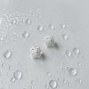 Silver Earrings with Cubic Zirkonia (2151159)